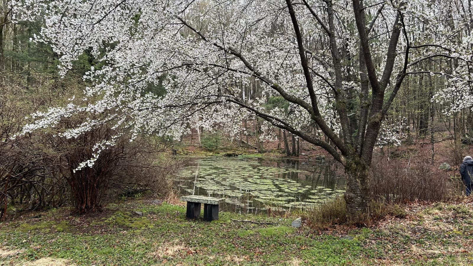 Outdoor mindfulness session